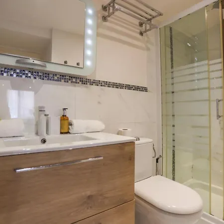 De Luxe Mimosa 6p Appartement Cannes
